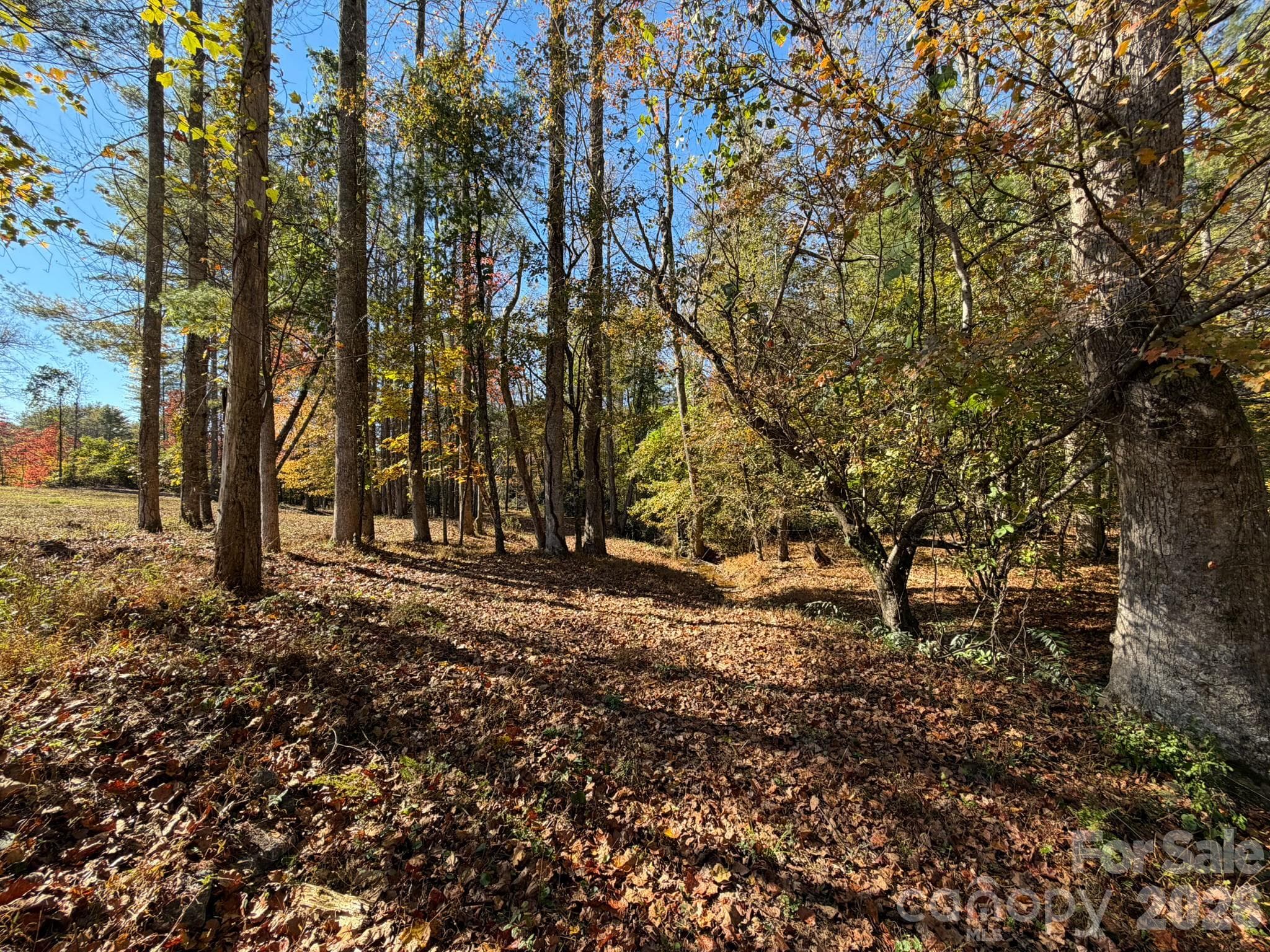 Lot at 00 Crystal Mountain Drive, Hendersonville, photo 12 of 30