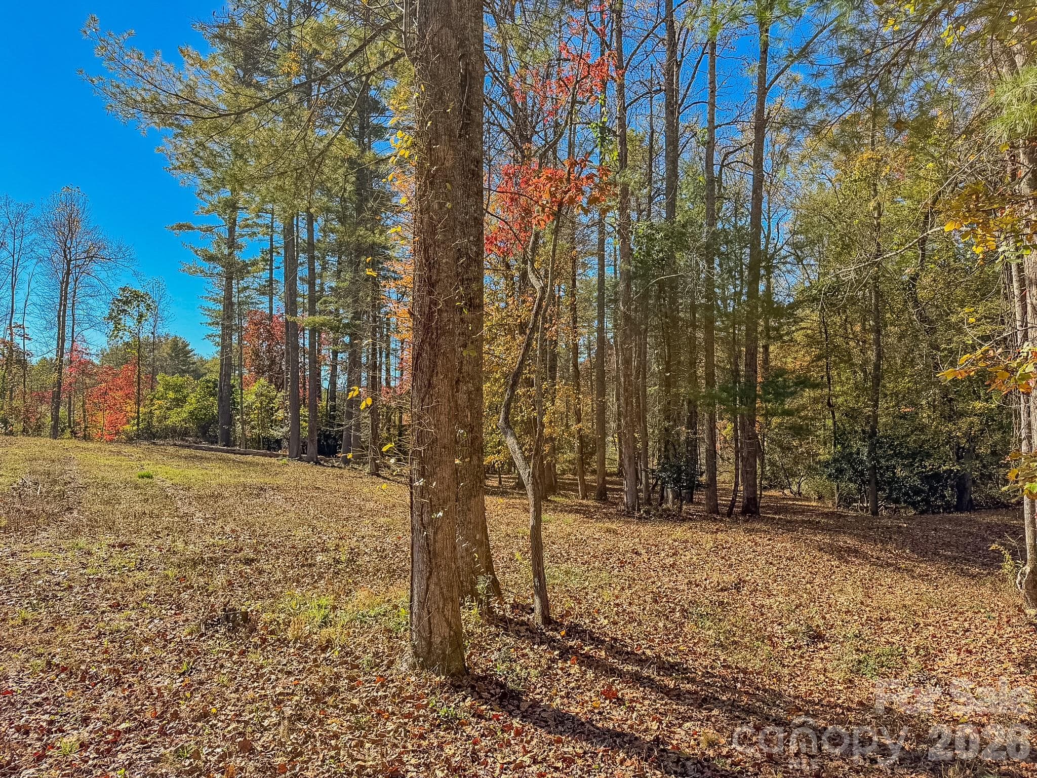 Lot at 00 Crystal Mountain Drive, Hendersonville, photo 13 of 30