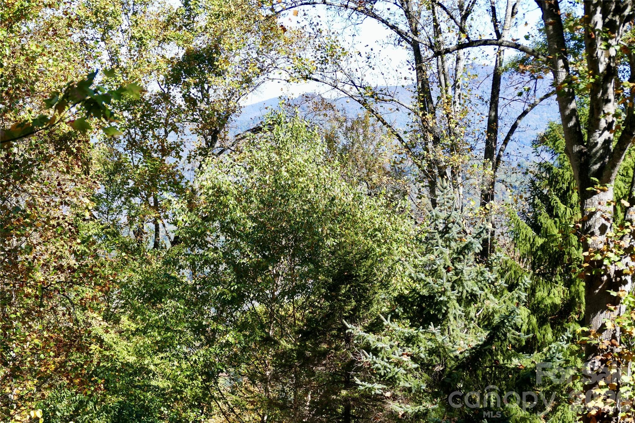 View through Lot - Lot 509 Multiflora Way, Waynesville