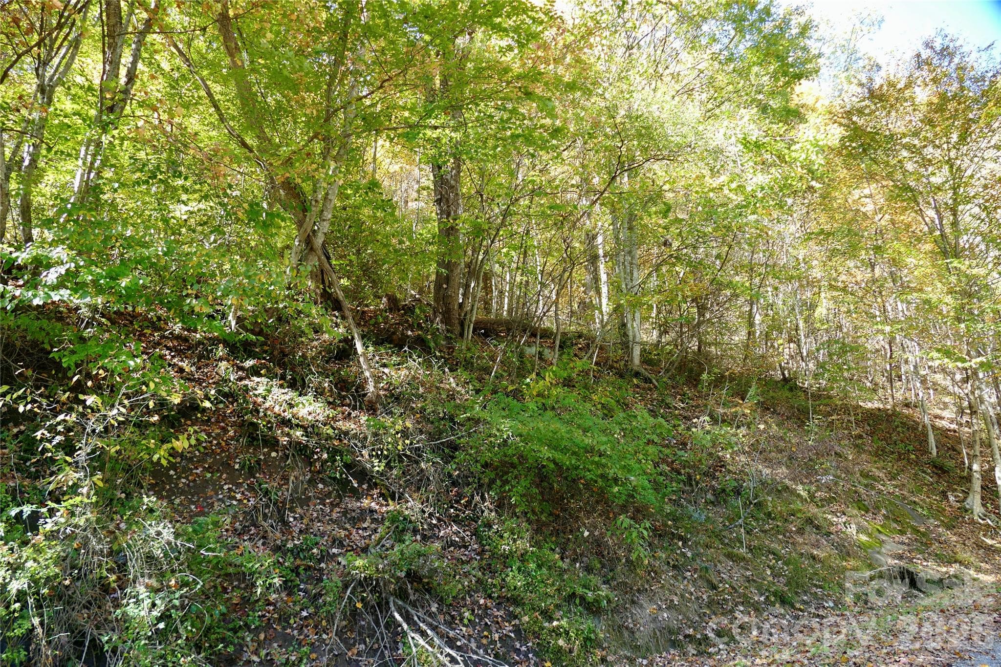 Property at lower road - Lot 509 Multiflora Way, Waynesville