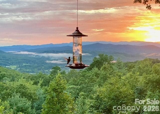 Older picture but look at the view you can have if you top the trees. - 224 Viking Trail, Hendersonville