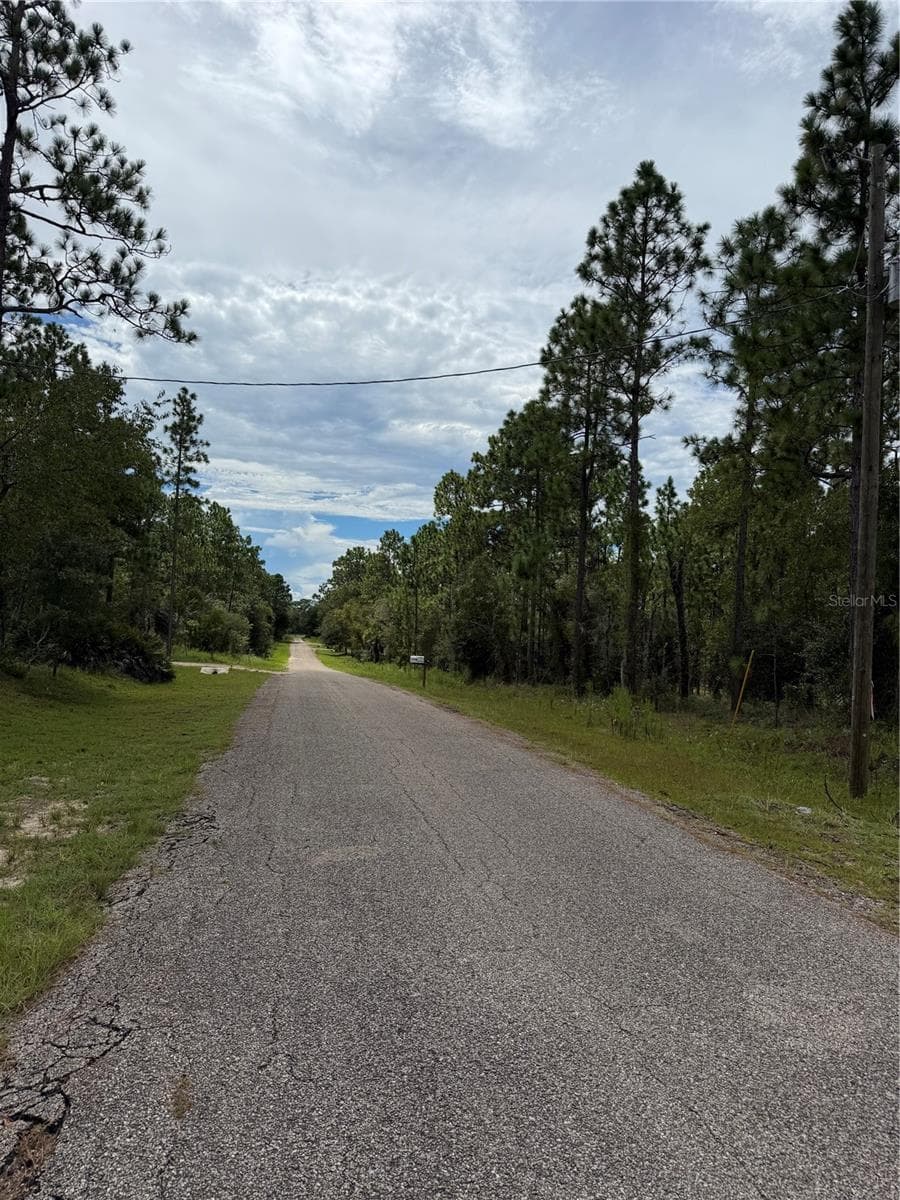 Land at 0000 SE 139TH CT, DUNNELLON, photo 2 of 3