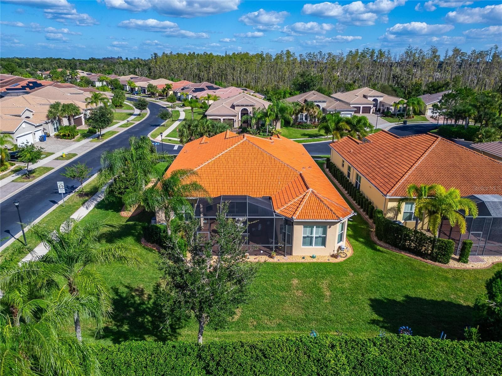 Single Family Residence at 16301 GARNET GLEN PL, WIMAUMA, photo 85 of 87