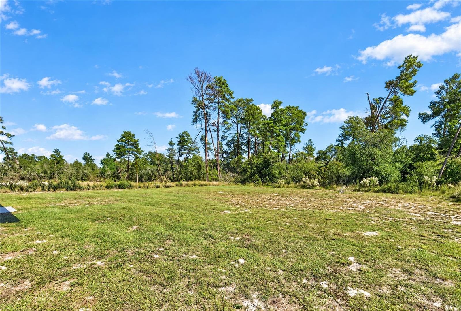 Single Family Residence at 17399 SW 25TH CIR, OCALA, photo 54 of 59