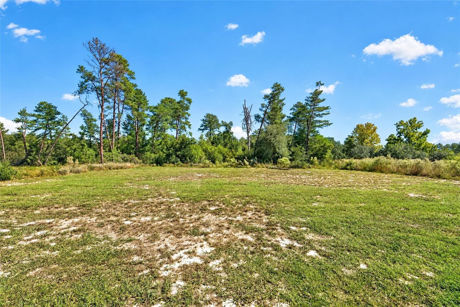Single Family Residence at 17399 SW 25TH CIR, OCALA, photo 56 of 59