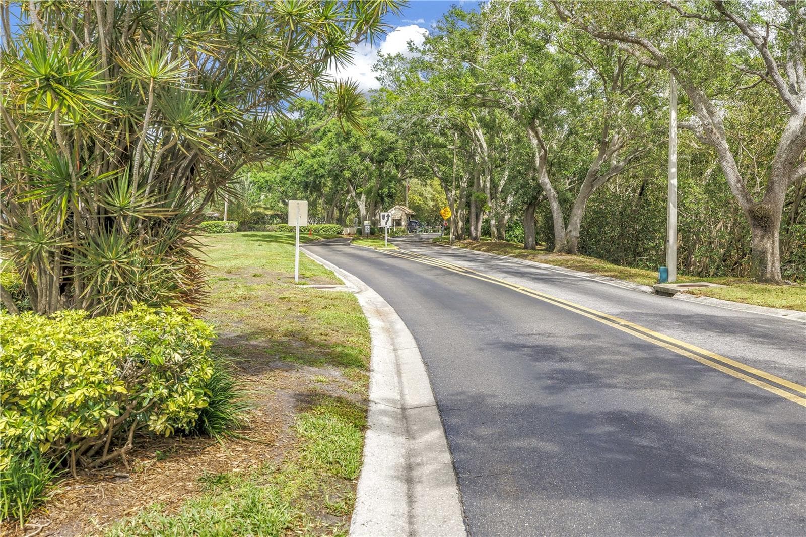 Beautiful, old-growth oak trees shade the entrance to Caya Costa, which is nestled around a curve and hidden from 78th Avenue. - 1186 GASPARILLA DR NE, ST PETERSBURG
