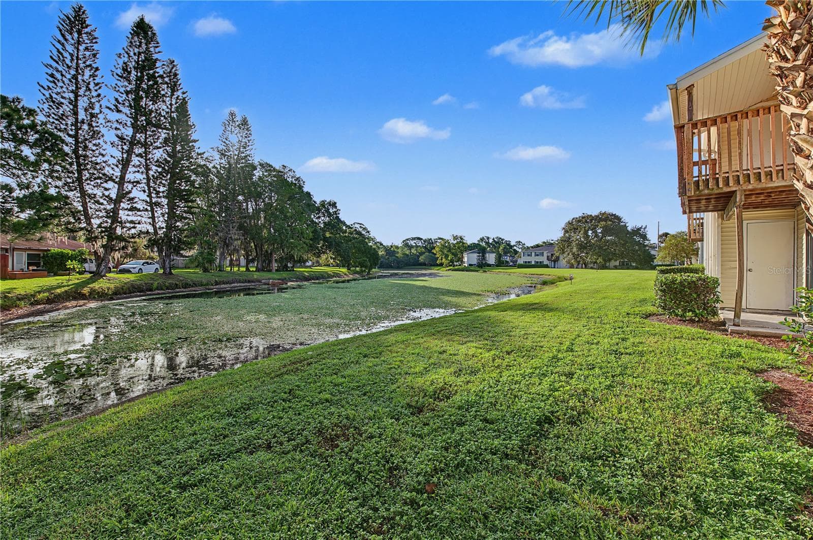 Condominium at 127 CAMPHOR DR #E, OLDSMAR, photo 27 of 45