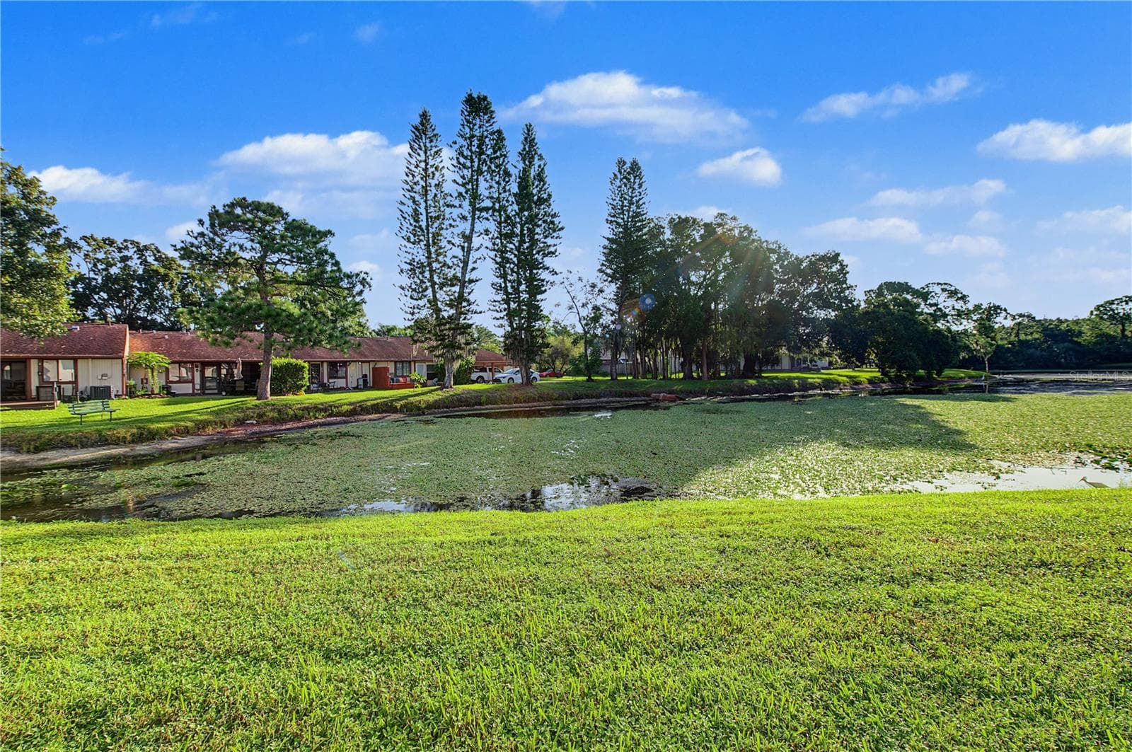 Condominium at 127 CAMPHOR DR #E, OLDSMAR, photo 28 of 45