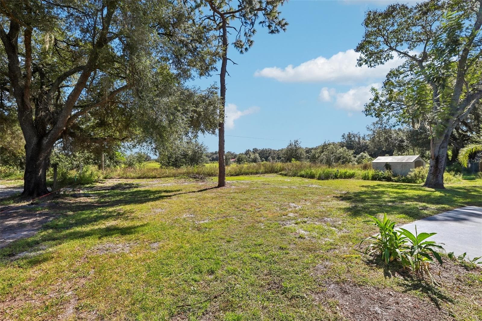 Single Family Residence at 39720 MEADOWOOD LOOP, ZEPHYRHILLS, photo 25 of 29