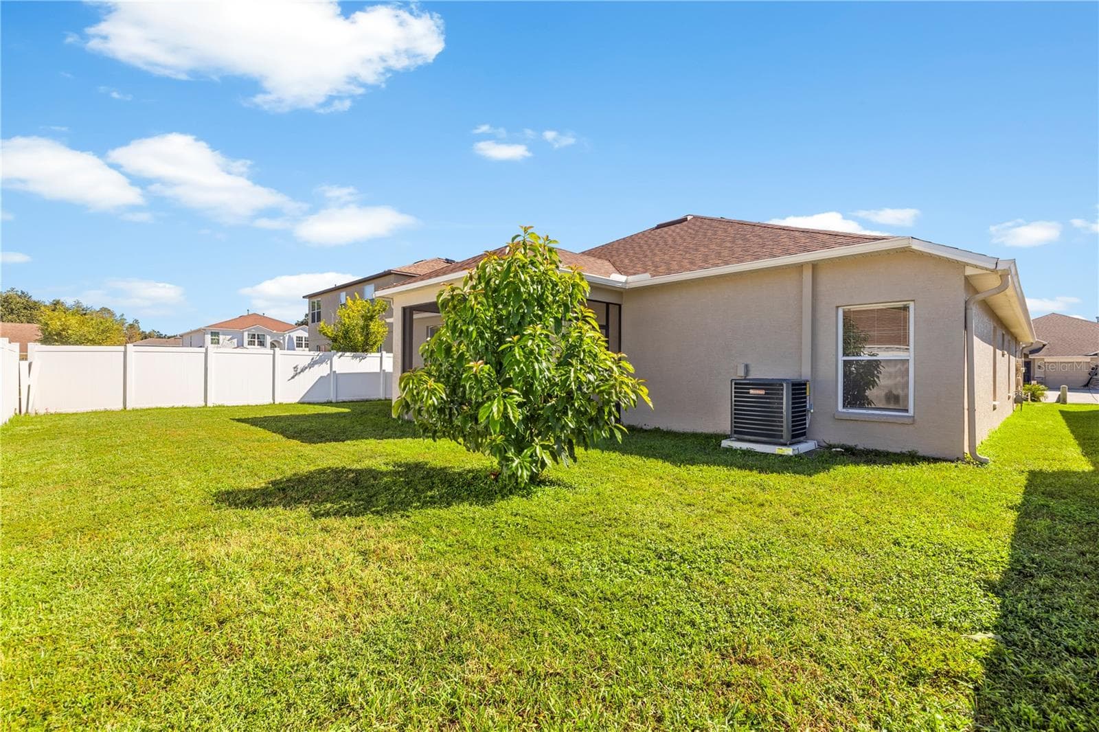 Back Yard - 10416 MEADOW SPRING DR, TAMPA