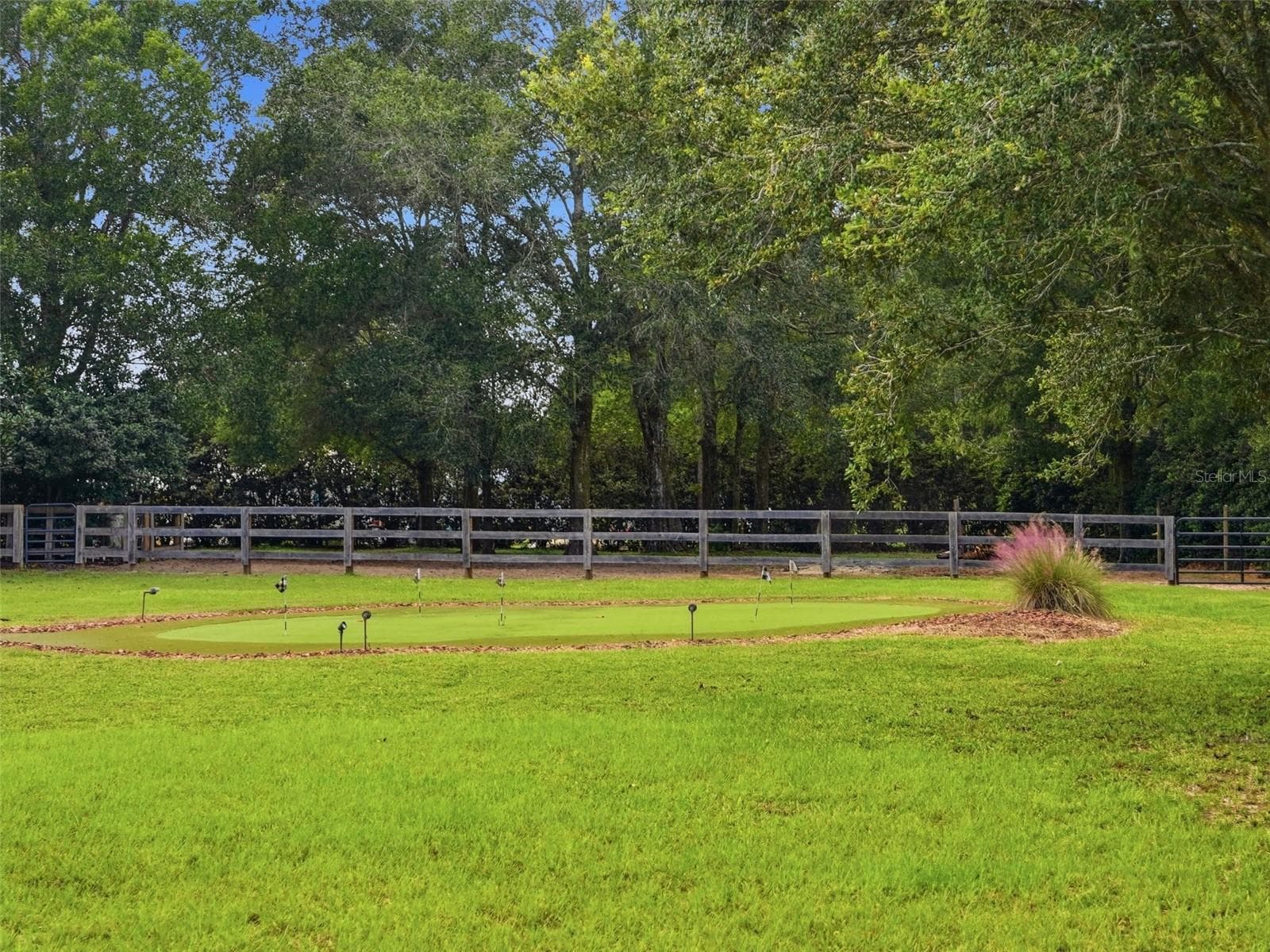 Lighted Putting Green - 1450 VIRGINIA LEE CIR, BROOKSVILLE