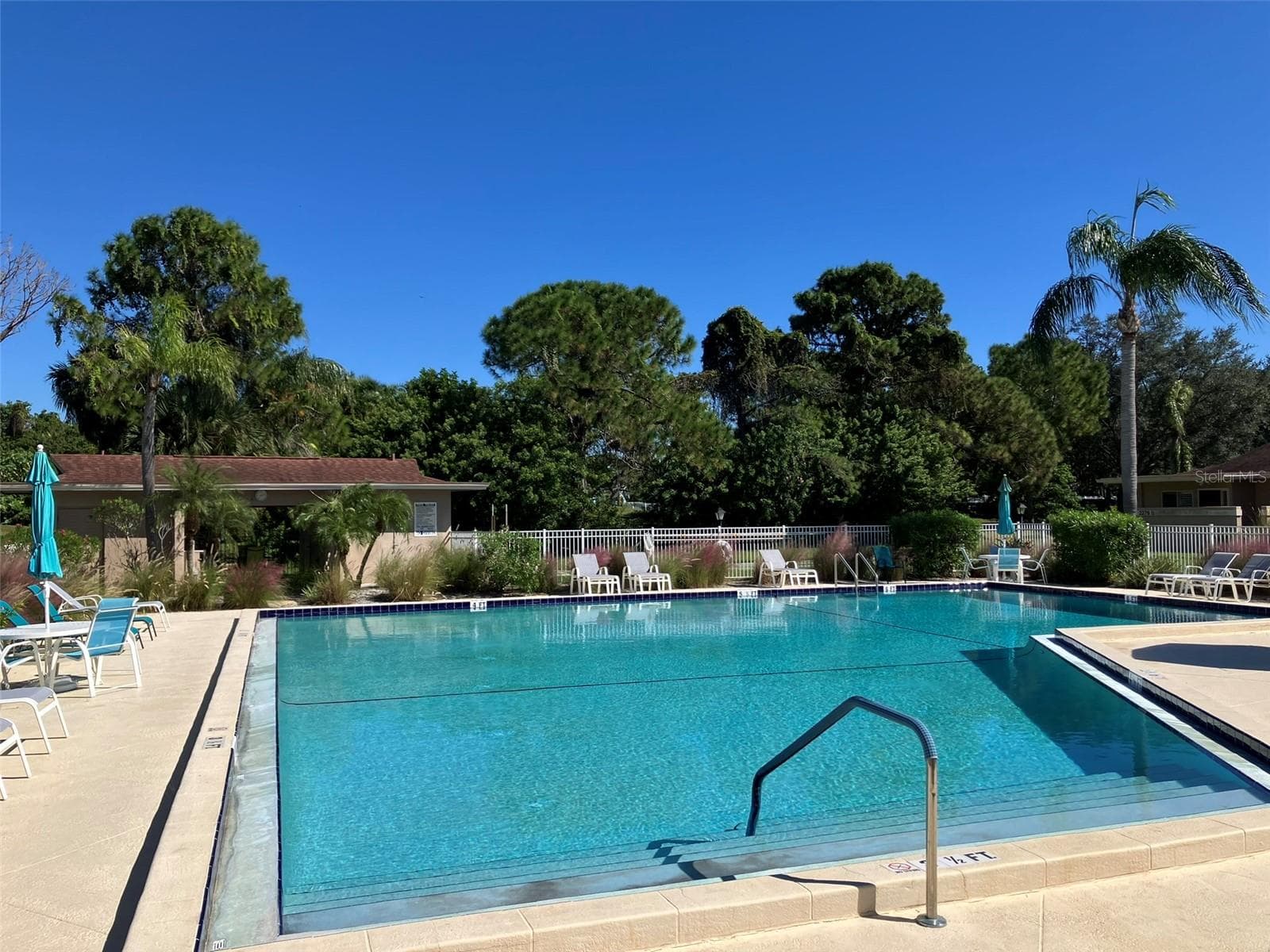 Community Pool - 2460 LAURELWOOD DR #E, CLEARWATER