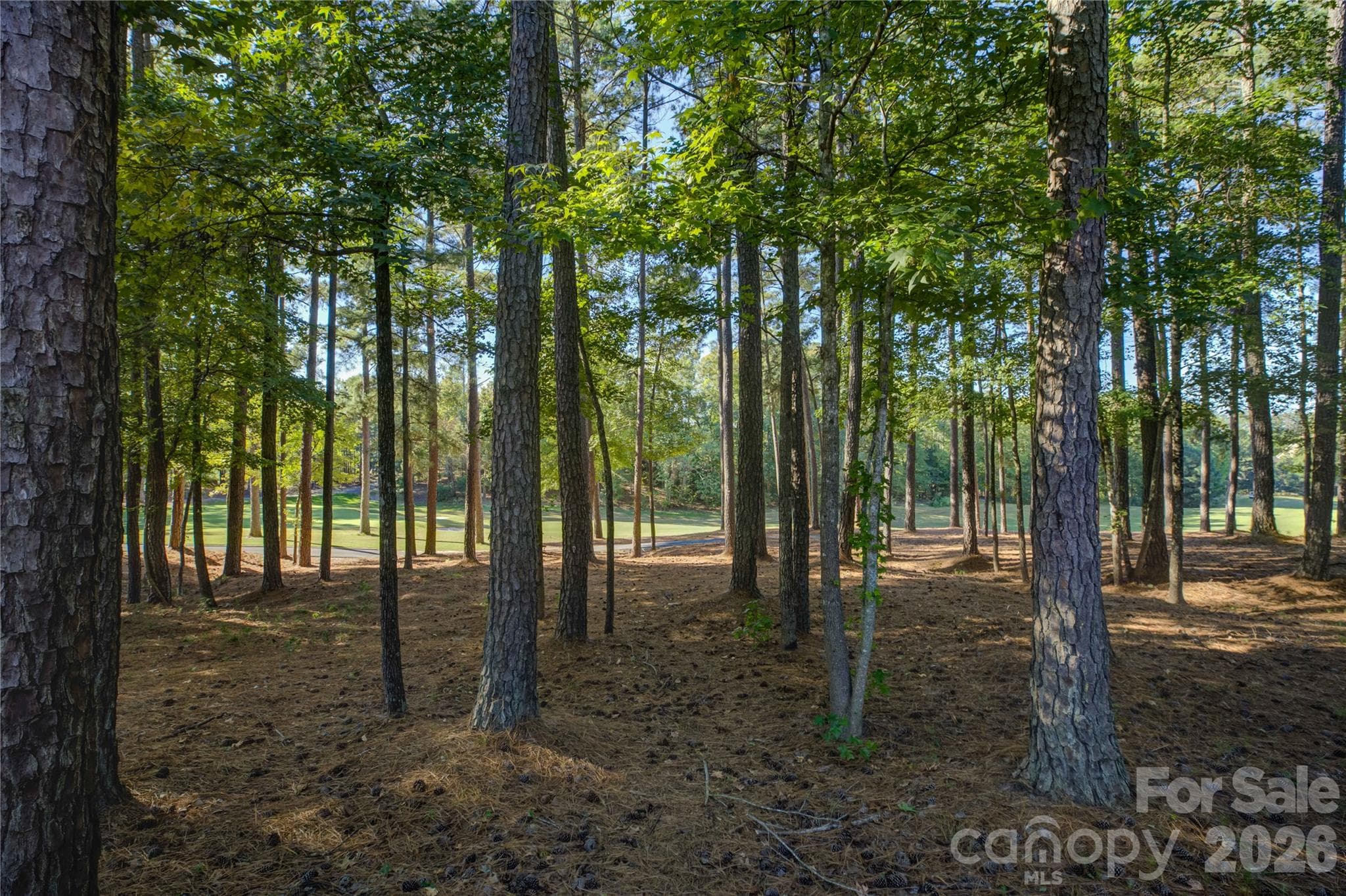 Single Family Residence at 17733 Colleton River Lane, Charlotte, photo 43 of 48