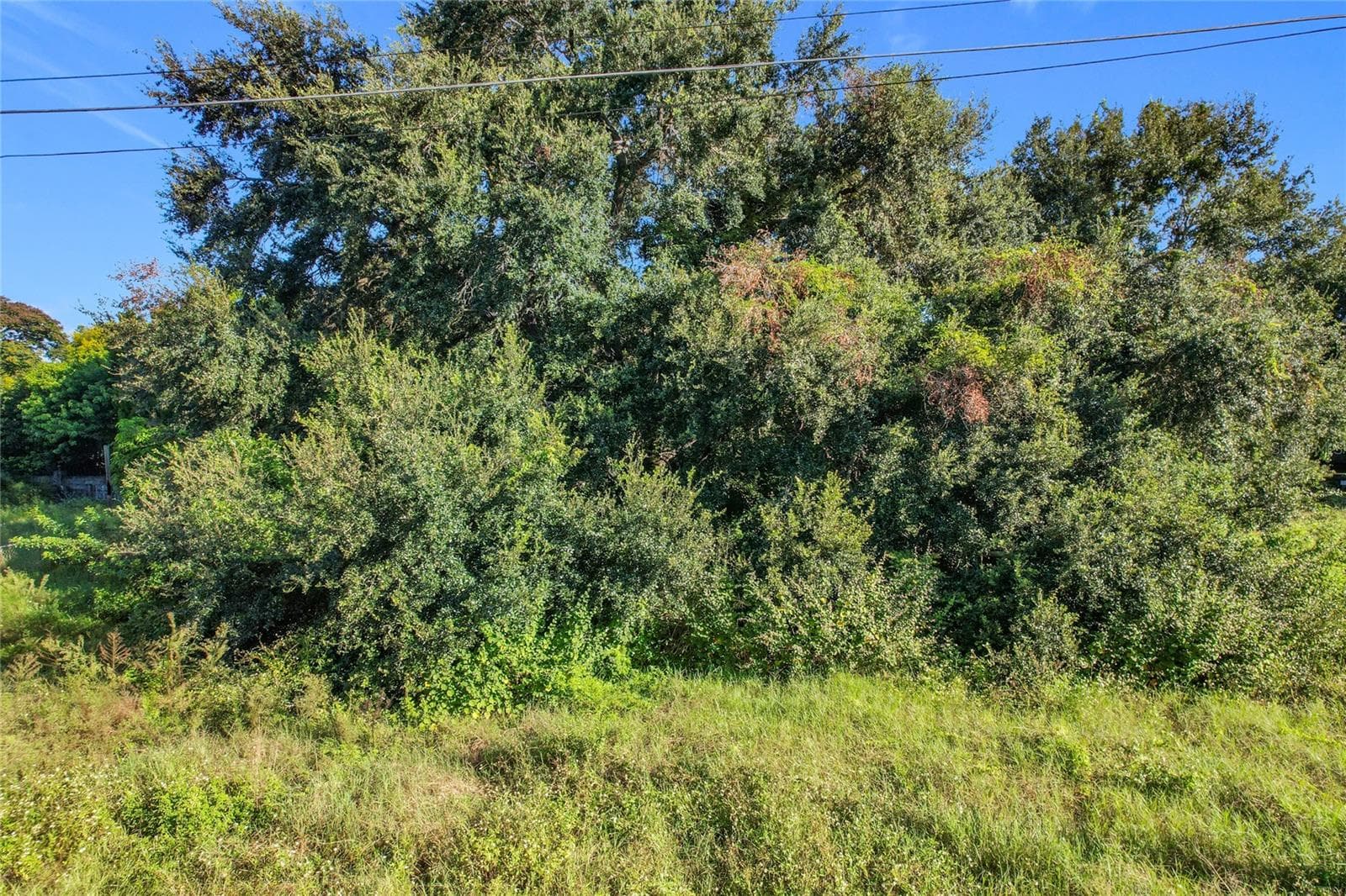 Land at 0 38TH ST NW, WINTER HAVEN, photo 14 of 26