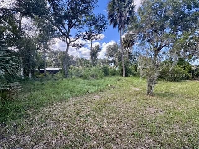 Single Family Residence at 5841 BOGGS FORD RD, PORT ORANGE, photo 19 of 20
