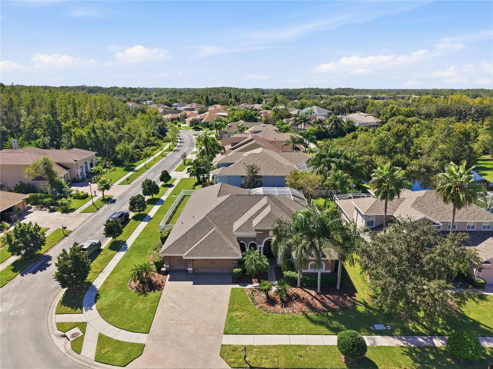 3905 SORREL VINE DR