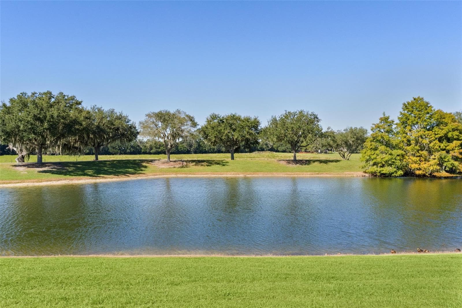 Single Family Residence at 2908 MANOR DOWNS, THE VILLAGES, photo 51 of 59