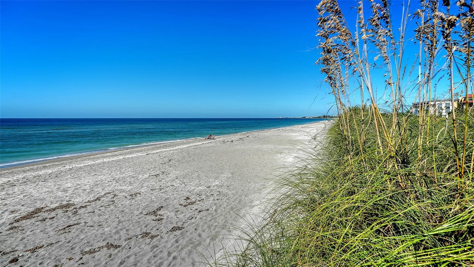 Beach - 8773 MIDNIGHT PASS RD #102G, SARASOTA