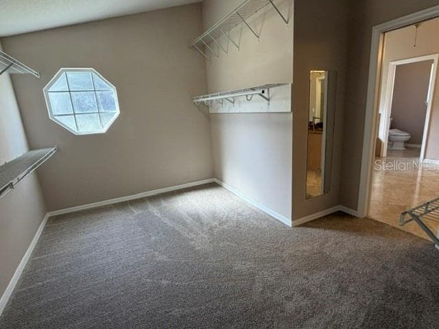 primary walk-in closet - 690 OAK HOLLOW WAY, ALTAMONTE SPRINGS