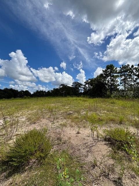 Mid Side View of Property - BABBITT AVE, ORLANDO