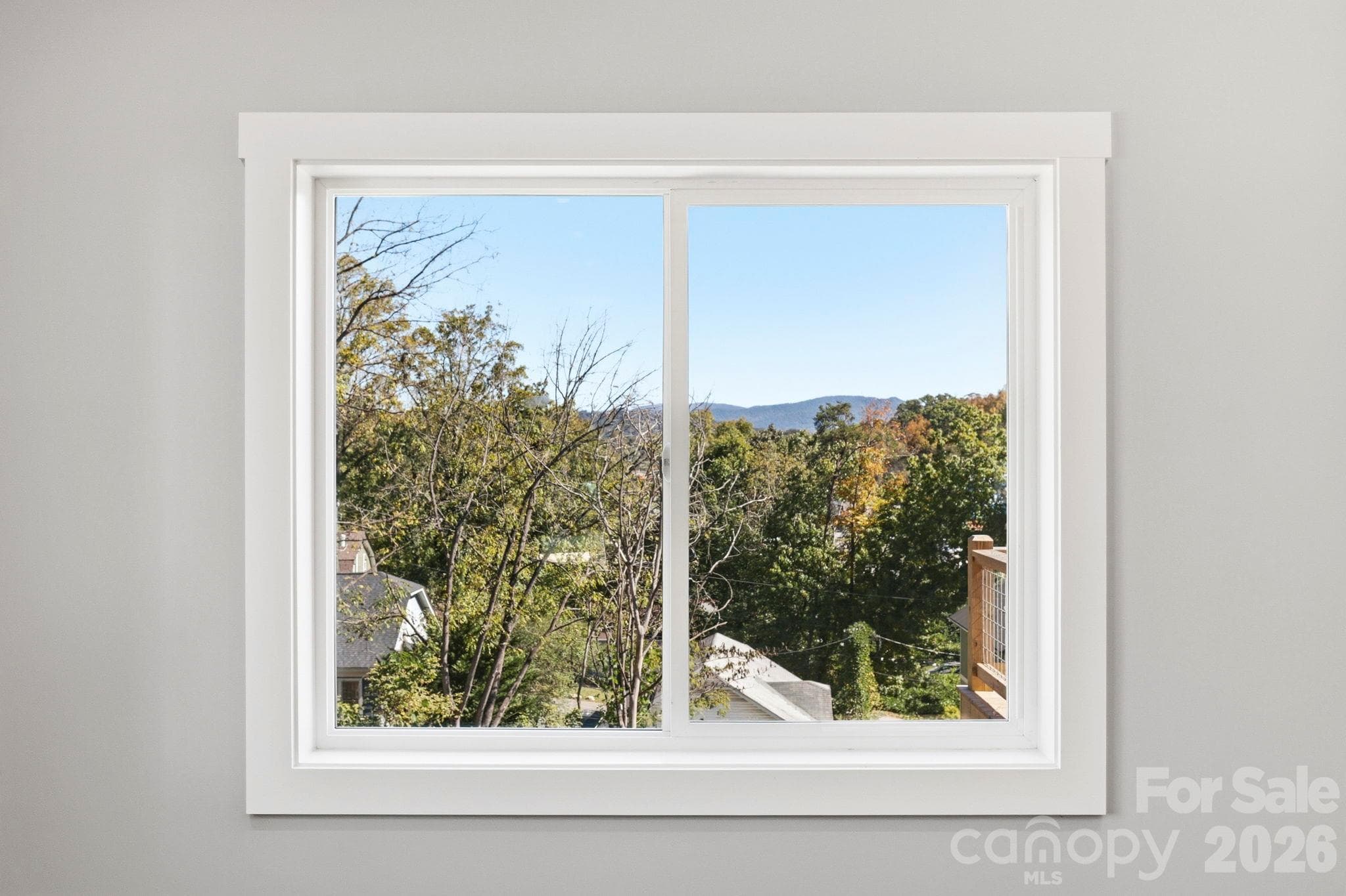 Beautiful year-round mountain view - 20 Laurel Loop, Asheville