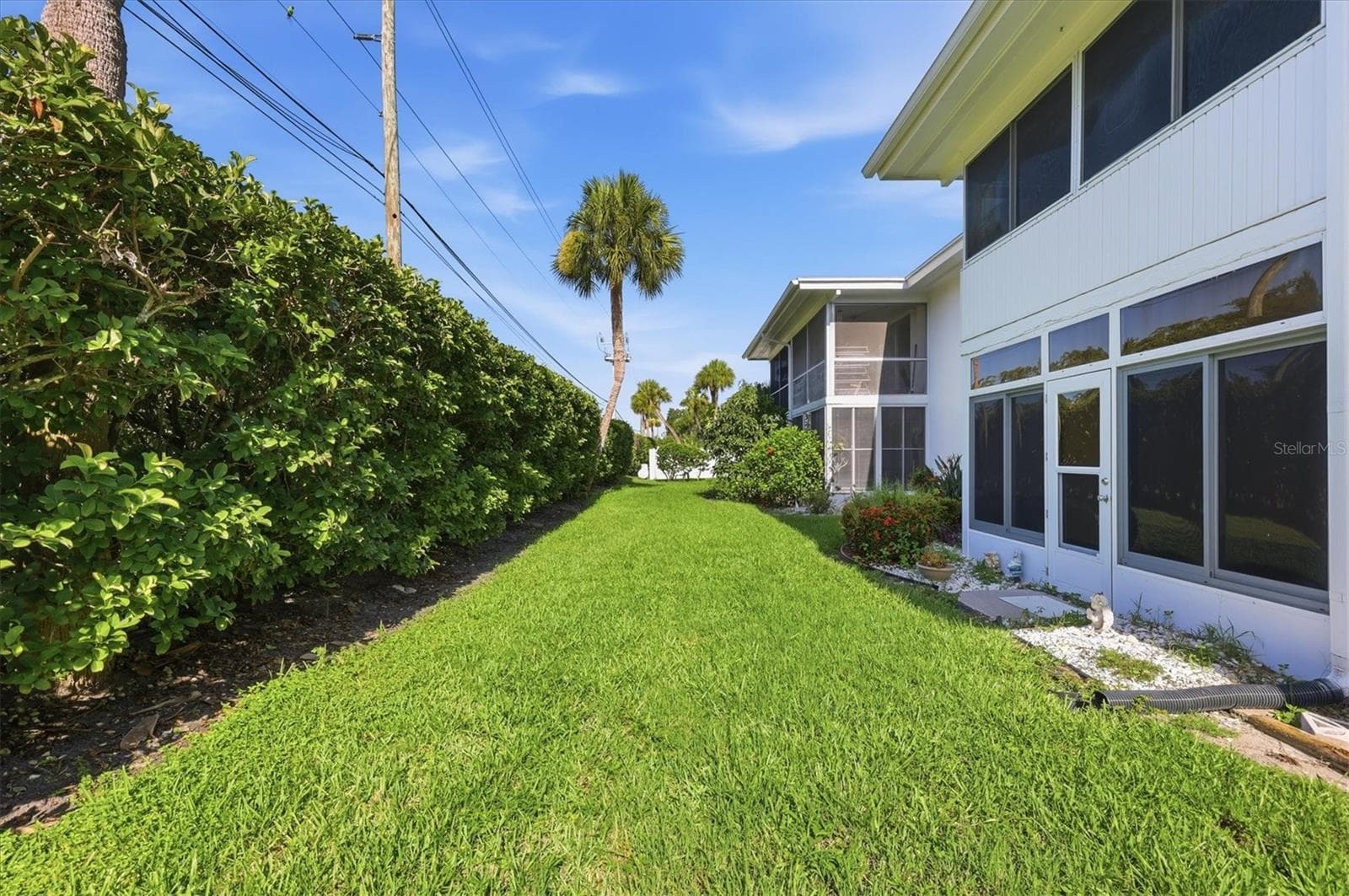 backyard - 3950 ROXANE BLVD #3B, SARASOTA