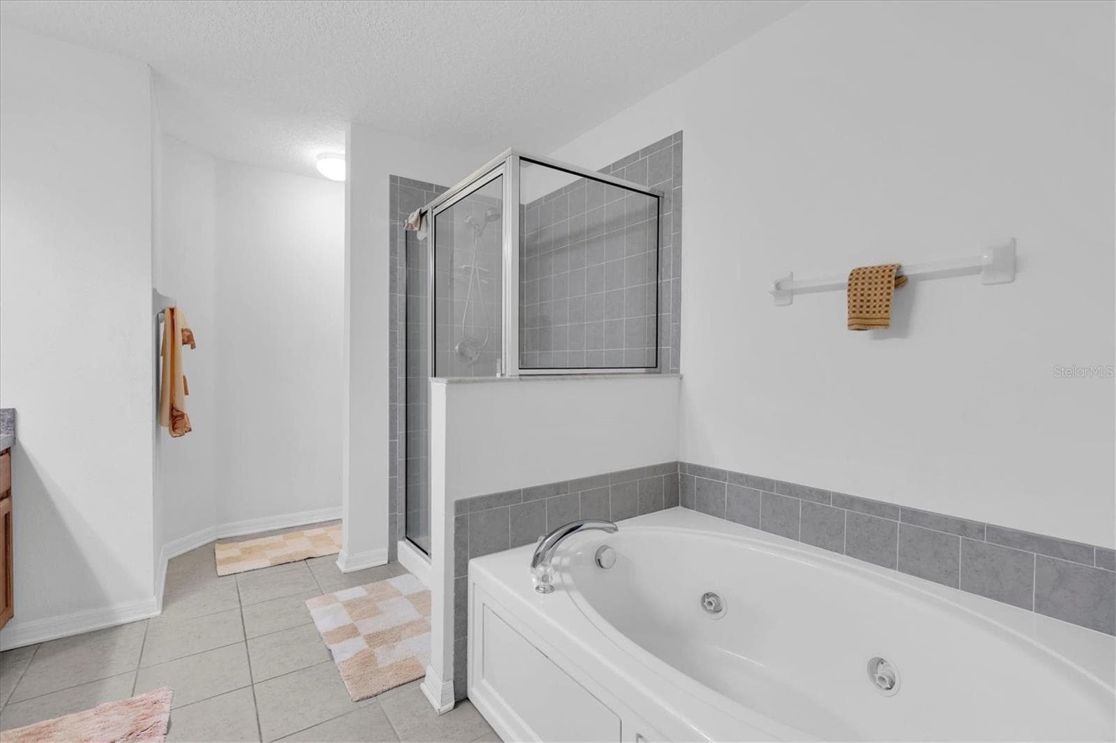 Townhouse at 10608 SHADY FALLS CT, RIVERVIEW, photo 36 of 38