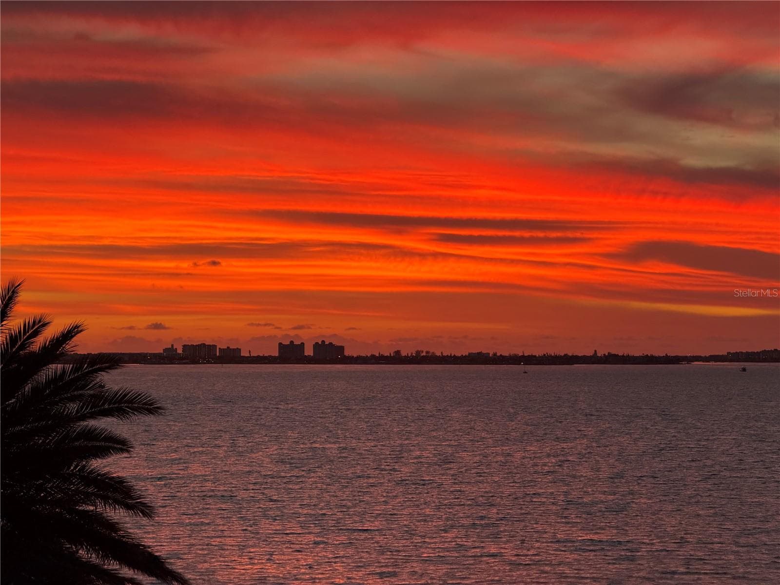 Condominium at 4991 BACOPA LN S #202, ST PETERSBURG, photo 14 of 85
