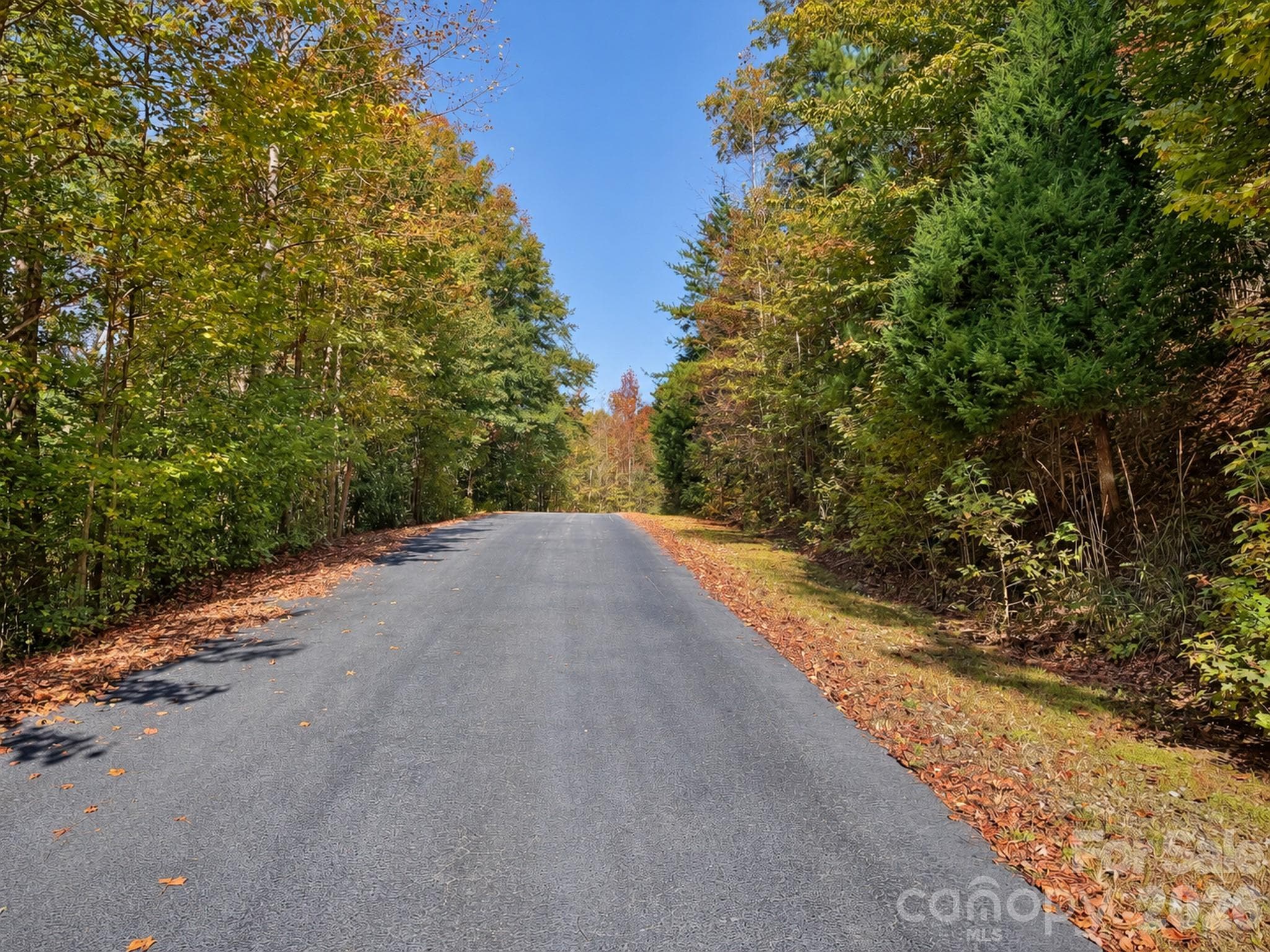Lot 64. Riverside Community Park, picnic area and sports court. - 248 Front Ridge Circle, Rutherfordton