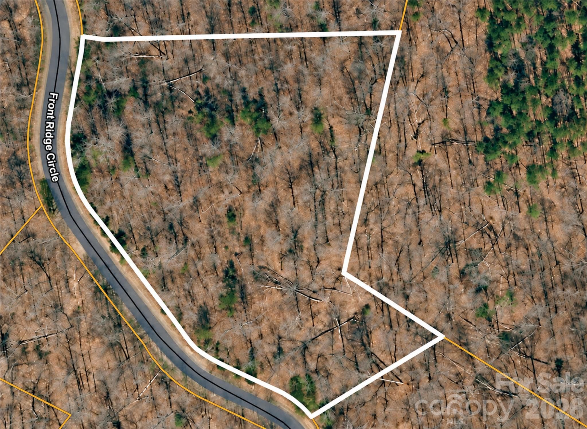 Lot 64. 248 Front Ridge Circle. Located in Green River Highlands. - 248 Front Ridge Circle, Rutherfordton