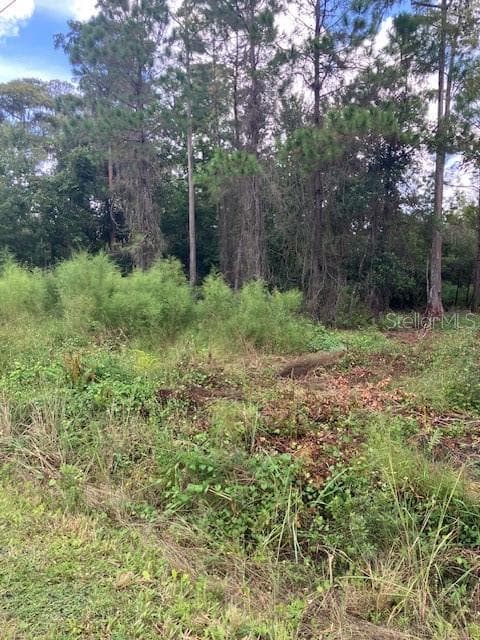 Land at 1881 HAZELNUT ST, BUNNELL, photo 4 of 5