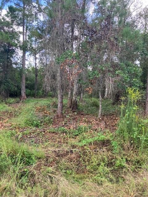 Land at 1881 HAZELNUT ST, BUNNELL, photo 5 of 5