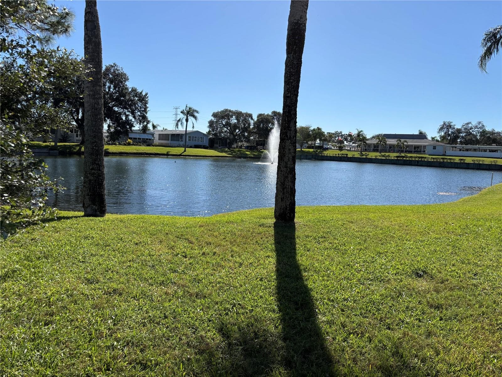 Across the street - 20 MOUNTAIN LAUREL DR, PALM HARBOR