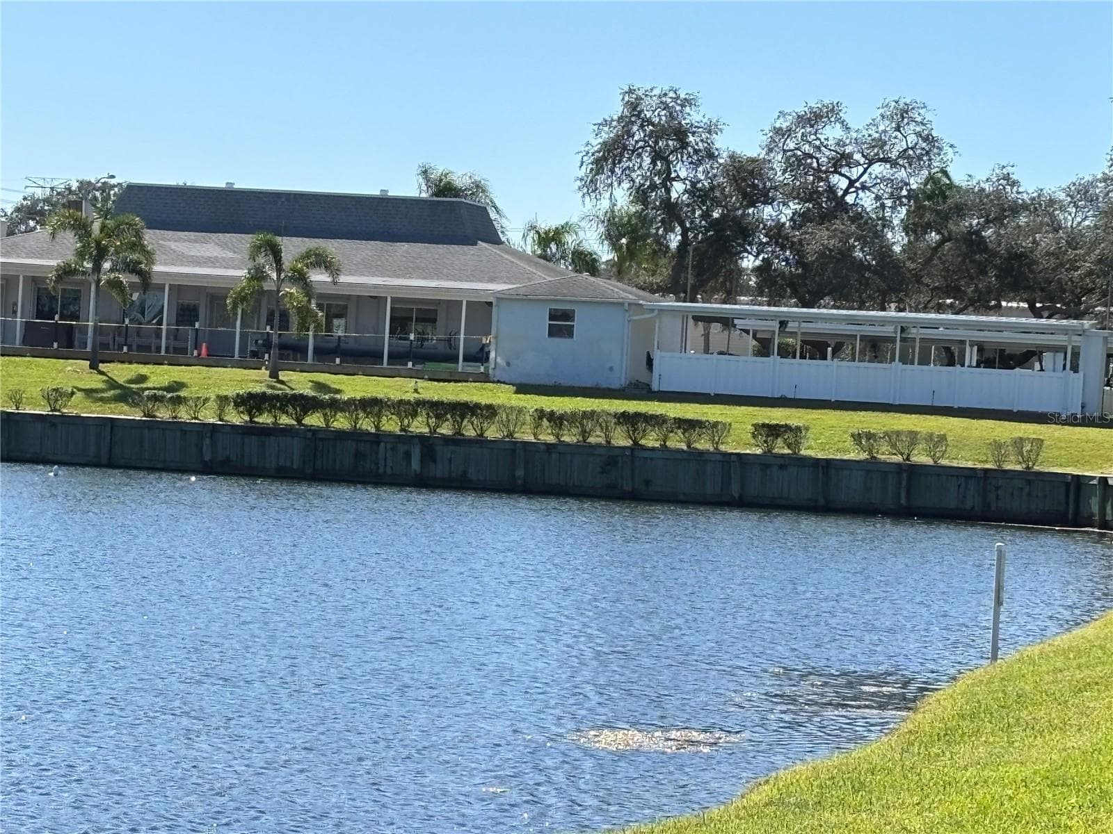 Beautiful pond across the street - 20 MOUNTAIN LAUREL DR, PALM HARBOR