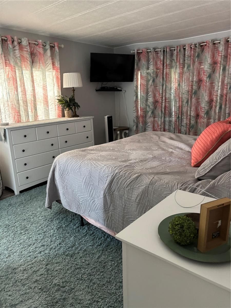 Primary bedroom - 20 MOUNTAIN LAUREL DR, PALM HARBOR