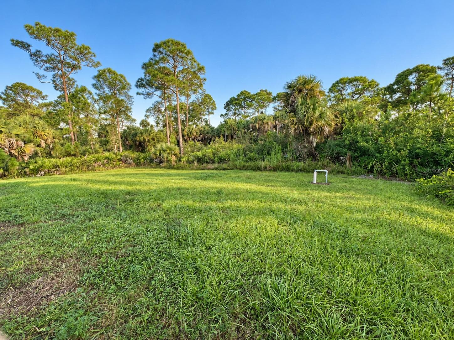 Backyard - 3404 61ST ST W, LEHIGH ACRES