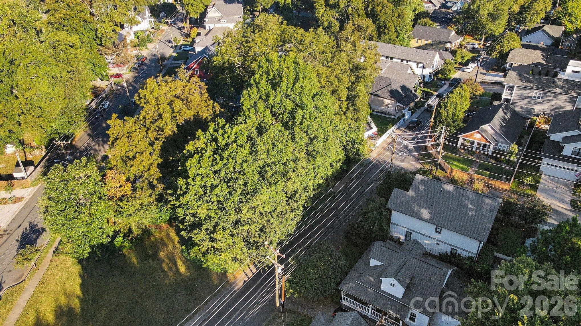 Lot at 215 Solomon Street, Charlotte, photo 6 of 19