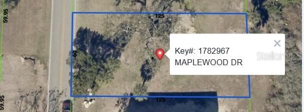 Land at MAPLEWOOD DR, HERNANDO BEACH, photo 2 of 3