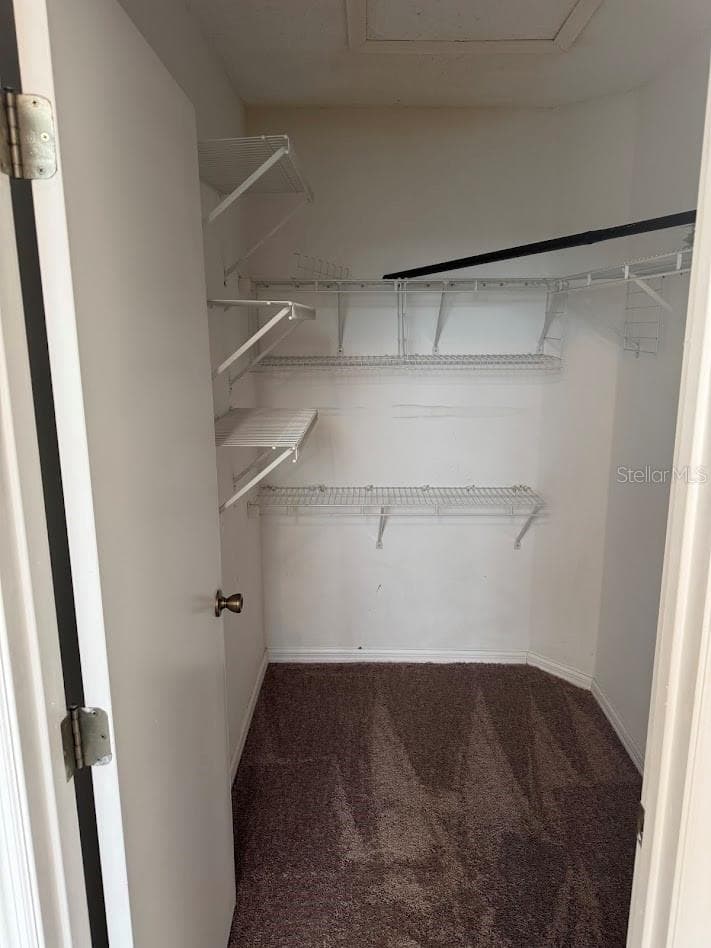 walk in closet master - 12144 BRUCETON WAY #101, ORLANDO