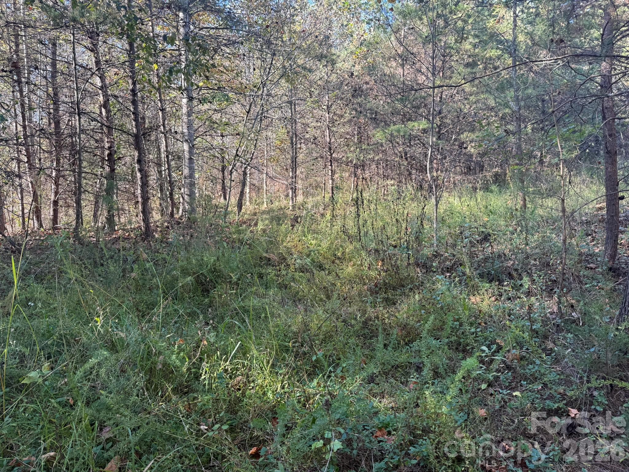 Acreage at V/L Wild Ridges Lane, Marion, photo 5 of 34