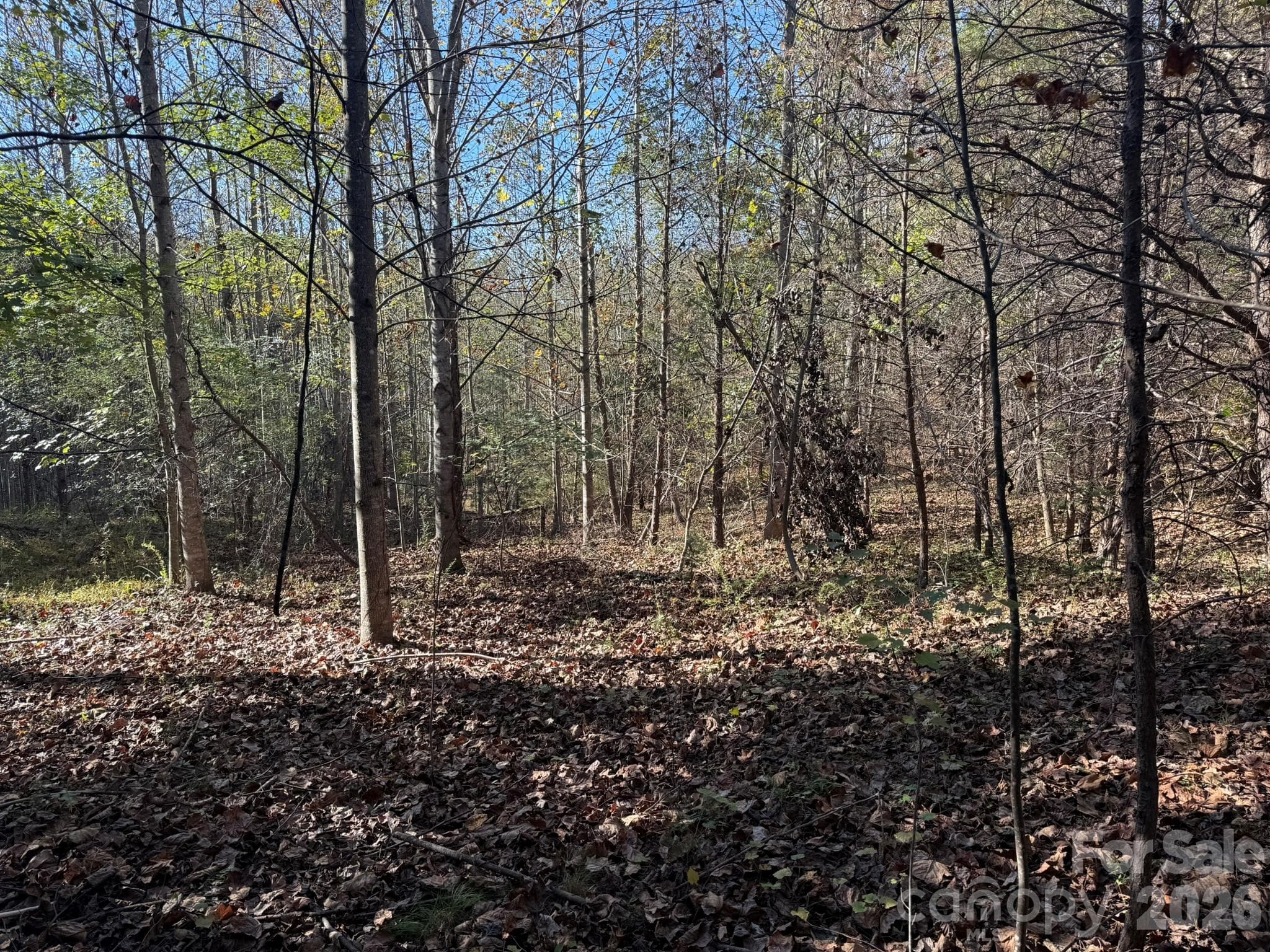 Acreage at V/L Wild Ridges Lane, Marion, photo 6 of 34