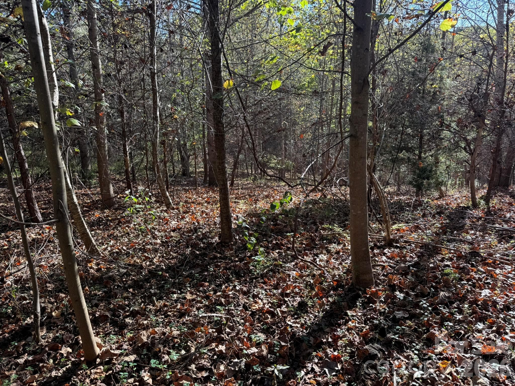 Acreage at V/L Wild Ridges Lane, Marion, photo 8 of 34