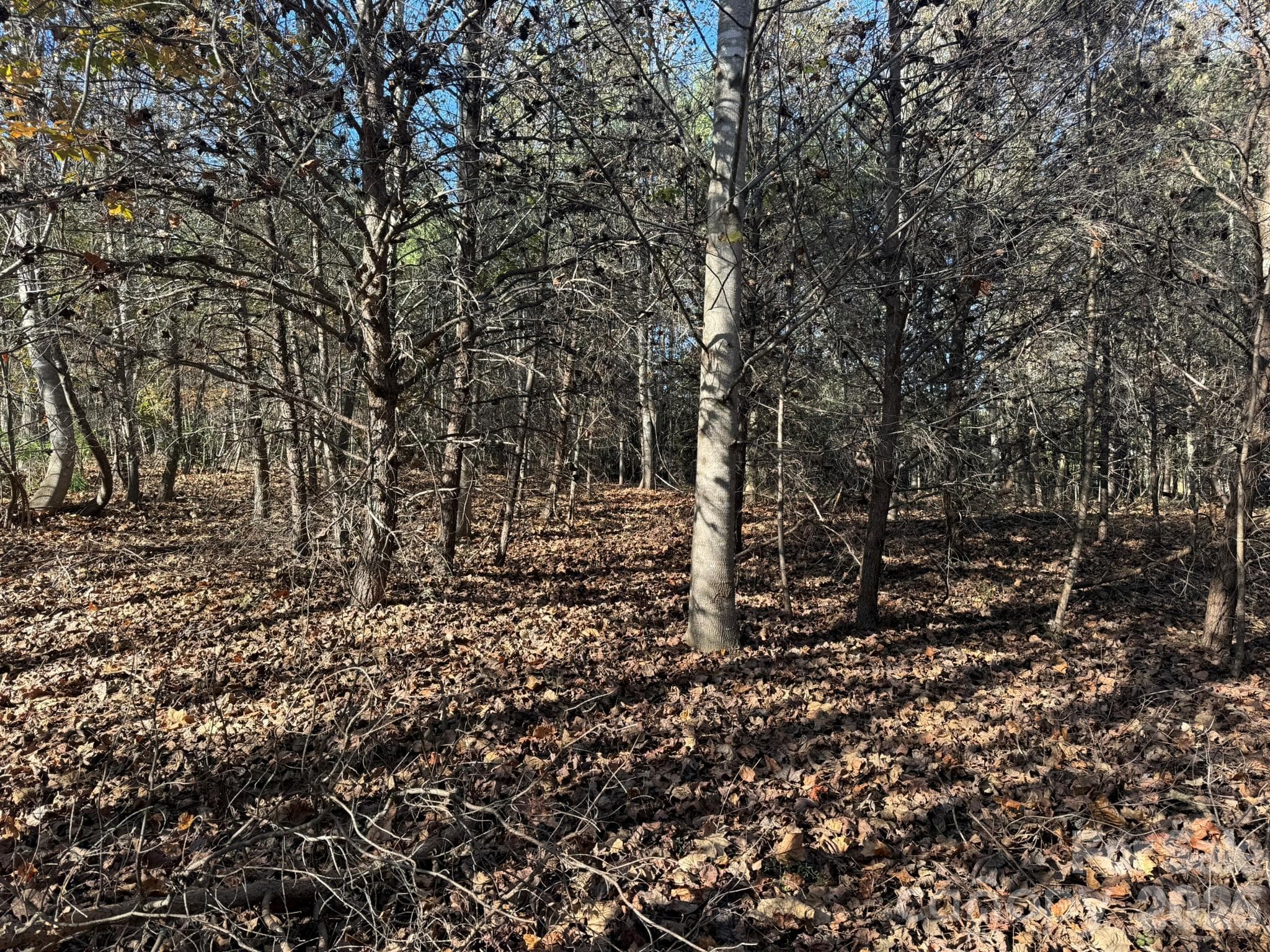 Acreage at V/L Wild Ridges Lane, Marion, photo 9 of 34