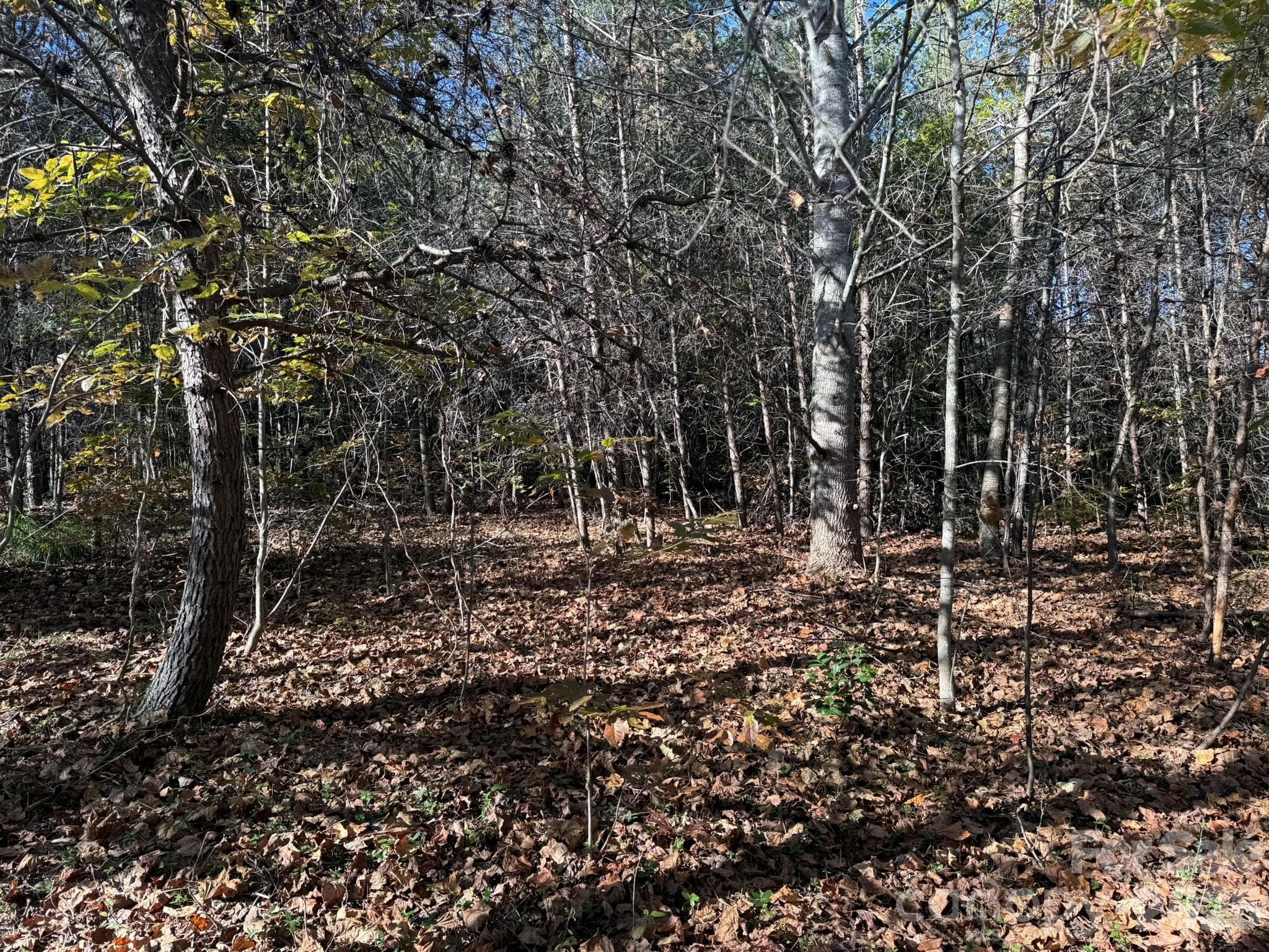 Acreage at V/L Wild Ridges Lane, Marion, photo 12 of 34