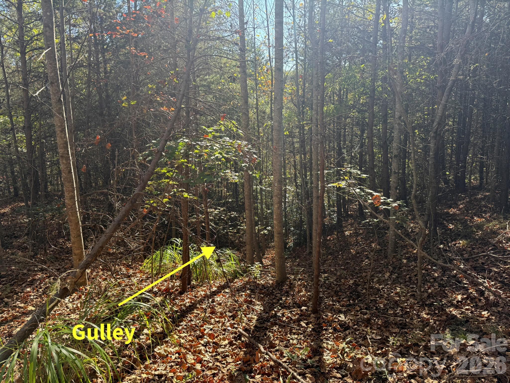Elevation change about 3/4 of the way into the property from Rockhouse Rd - V/L Wild Ridges Lane, Marion