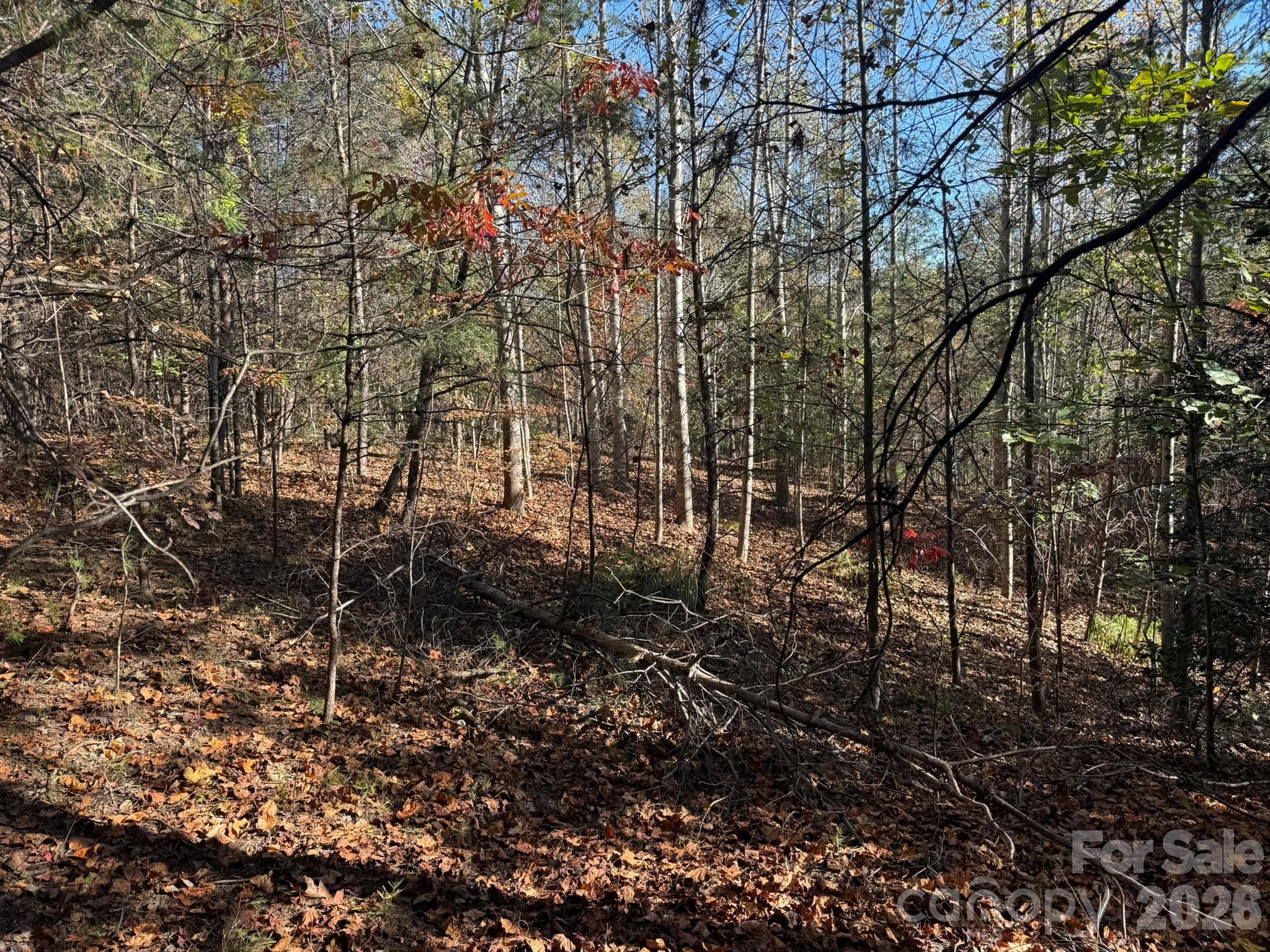 Side view of slope from the upper elevation - V/L Wild Ridges Lane, Marion
