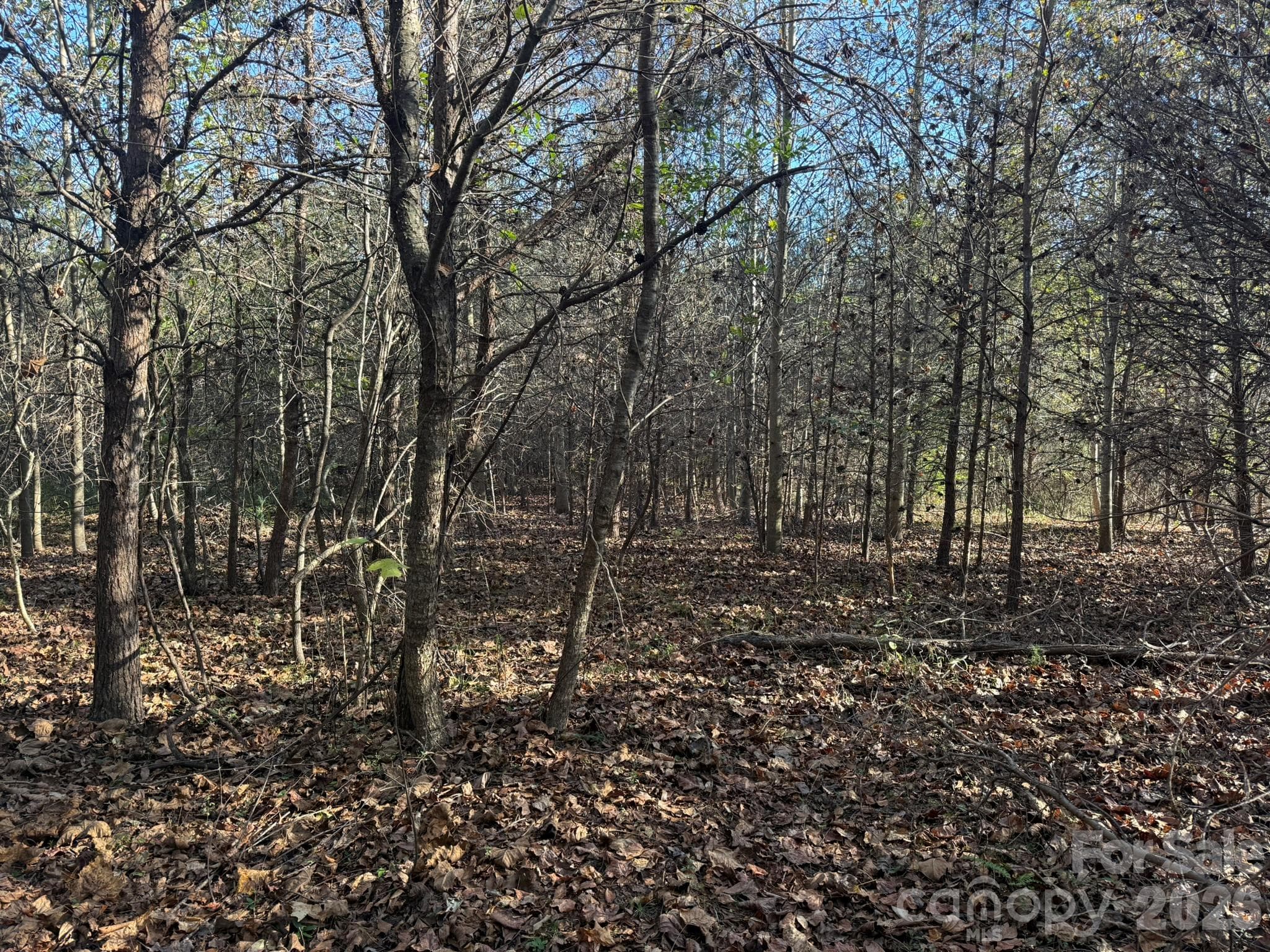 Acreage at V/L Wild Ridges Lane, Marion, photo 16 of 34
