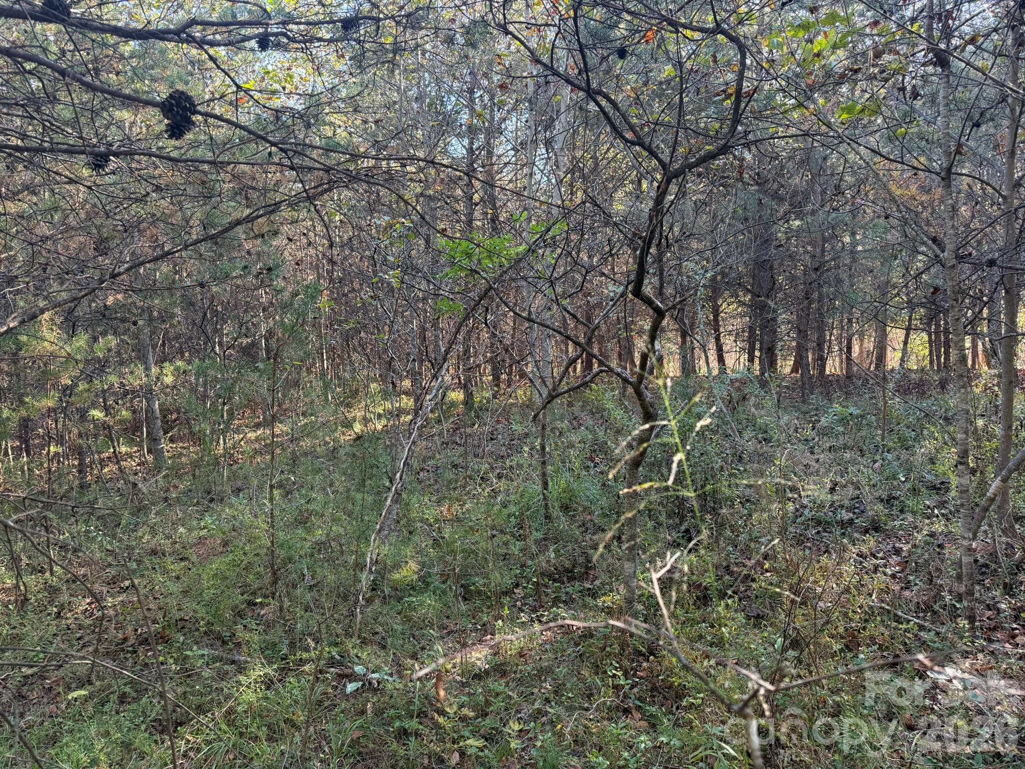 Acreage at V/L Wild Ridges Lane, Marion, photo 17 of 34