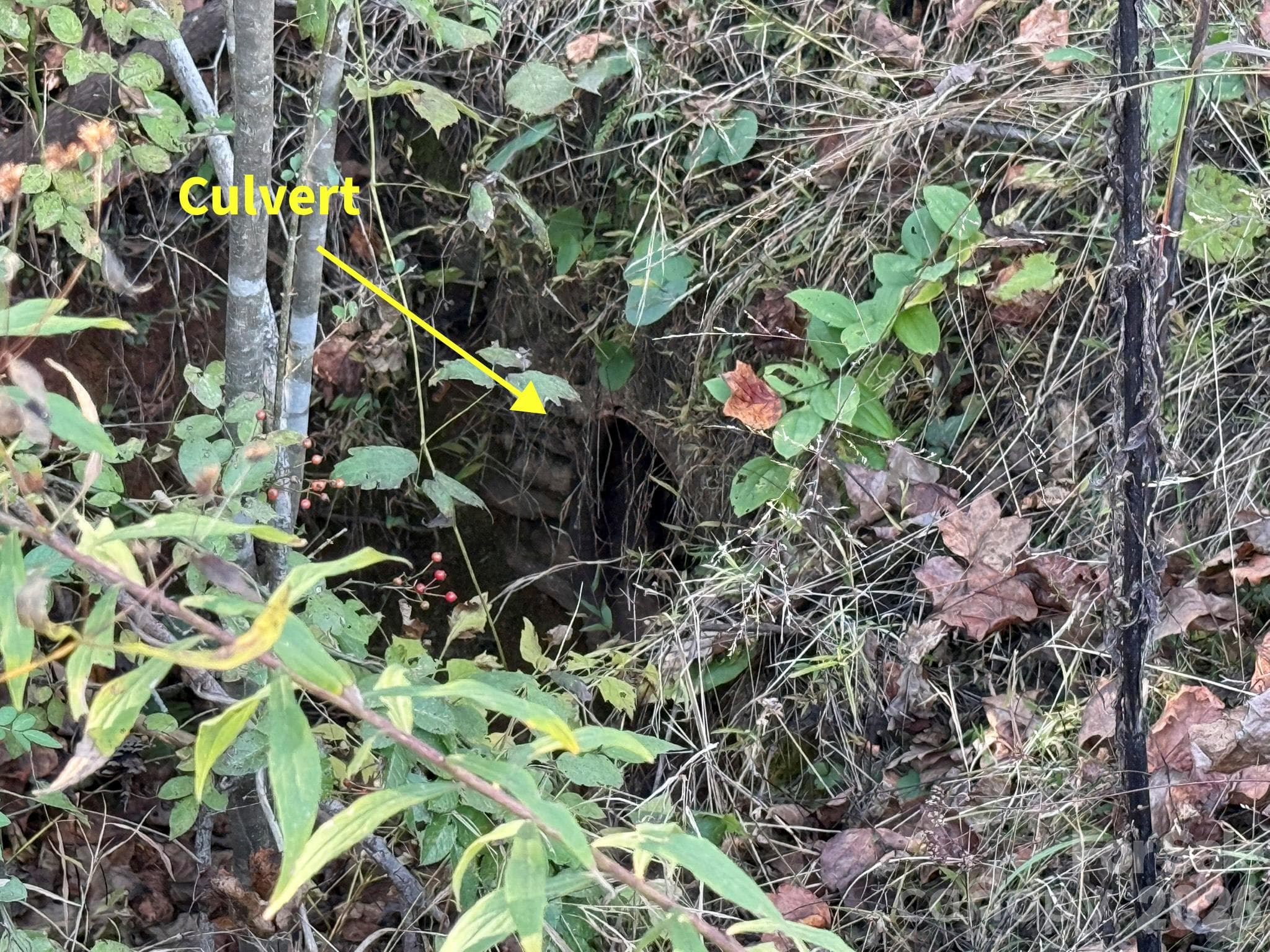 Culvert under the access point from Rockhouse Rd - V/L Wild Ridges Lane, Marion