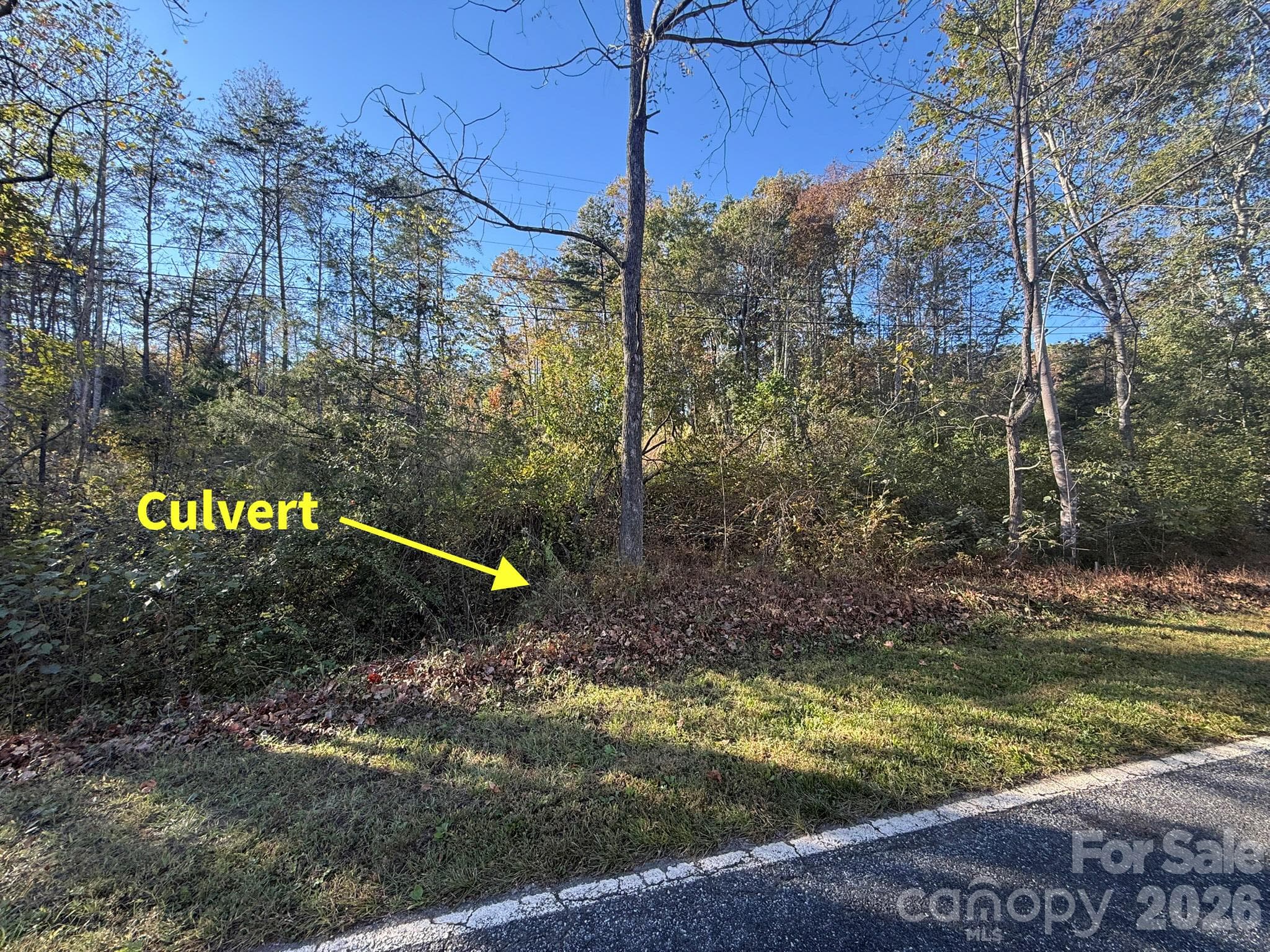 Access from Rockhouse Rd - V/L Wild Ridges Lane, Marion